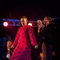 flamenco (84)